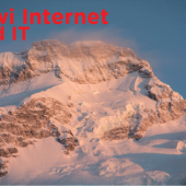 Meet ​Kiwi Internet & IT 