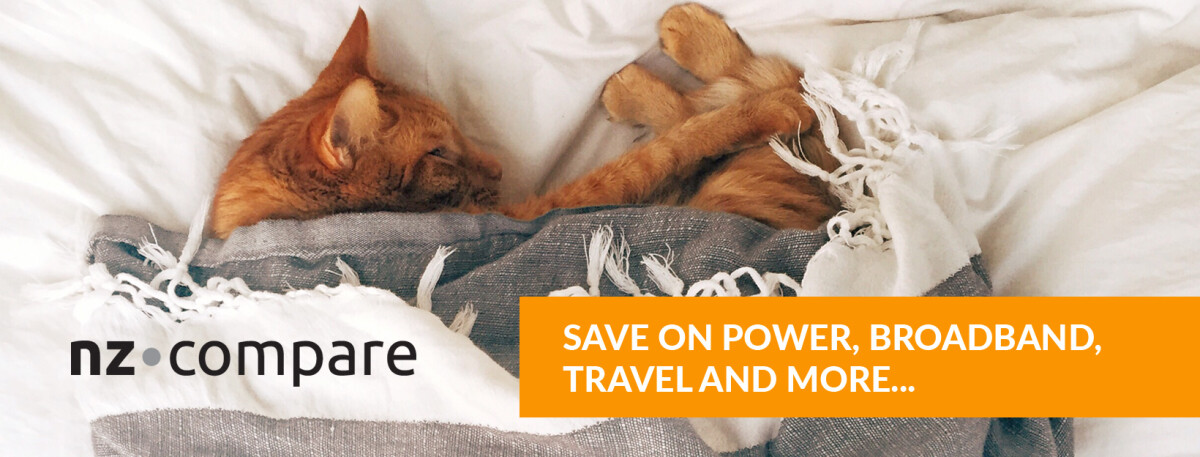 The NZ Winter Energy Payment – Do you qualify?