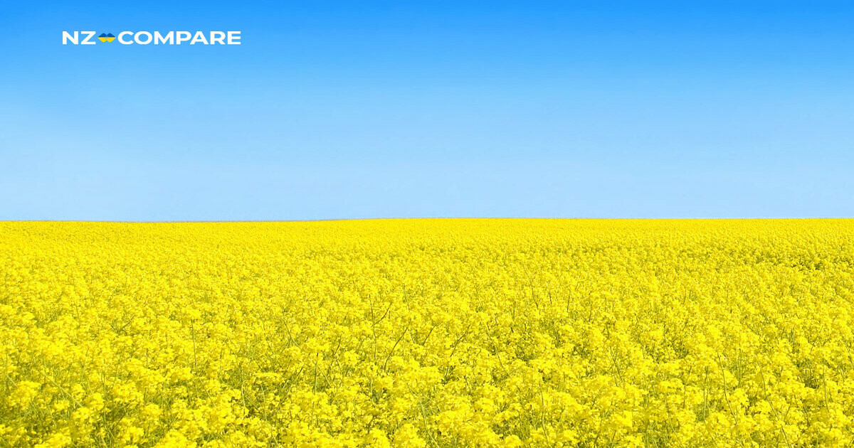 Supporting our team in Ukraine 