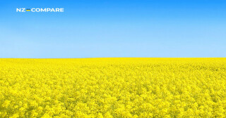 Supporting our team in Ukraine 