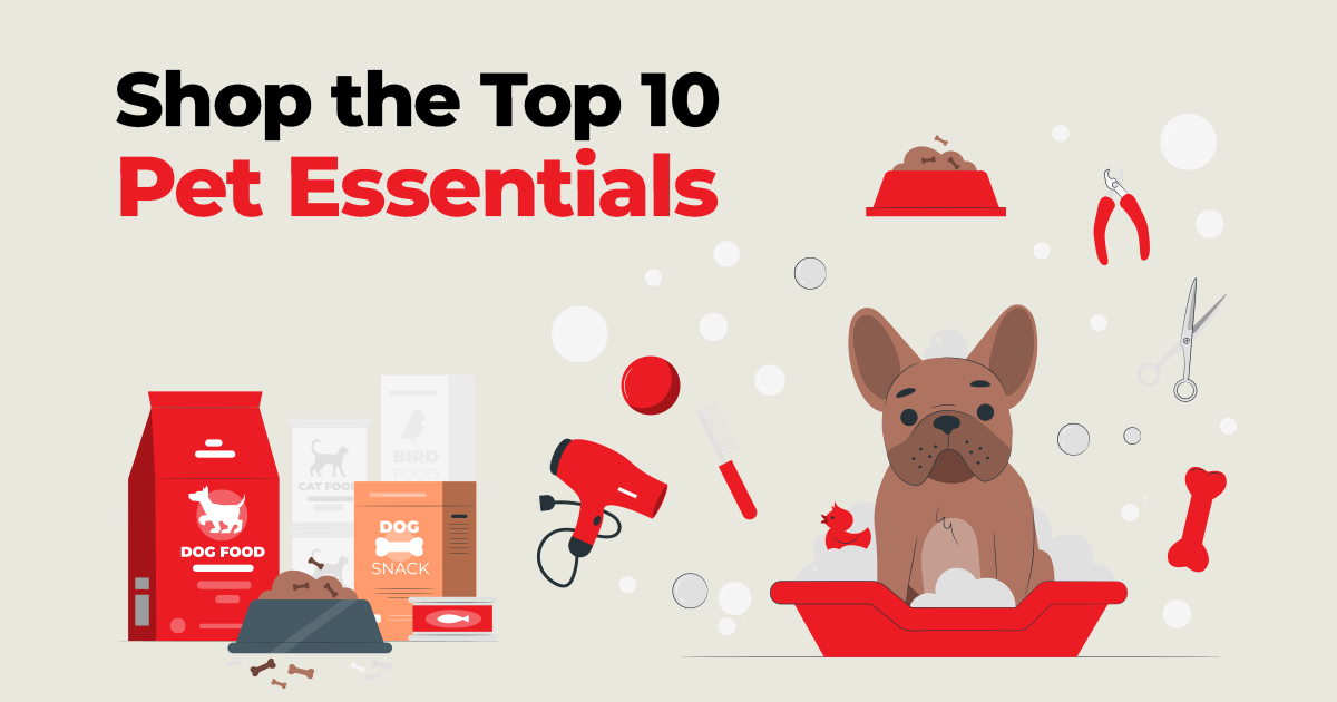 Shop Top 10 Pet Essentials with NZ Compare