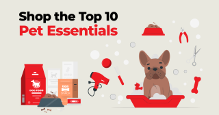 Shop the Top 10 Pet Essentials