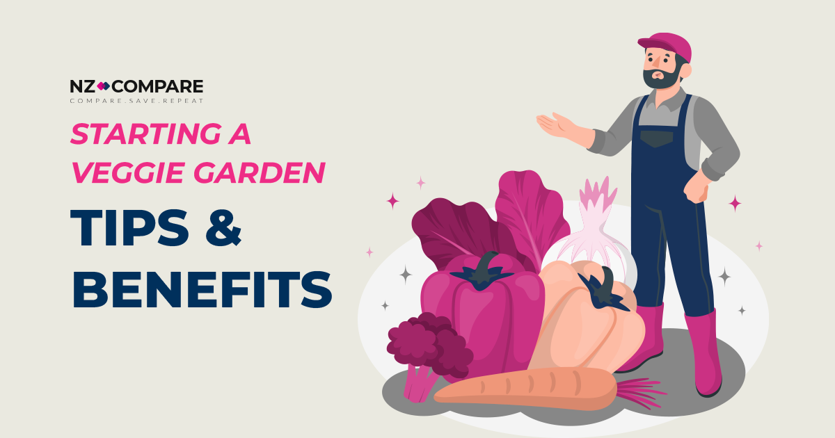 Starting a Veggie Garden: Tips and Why It’ll Save Money with NZ Compare
